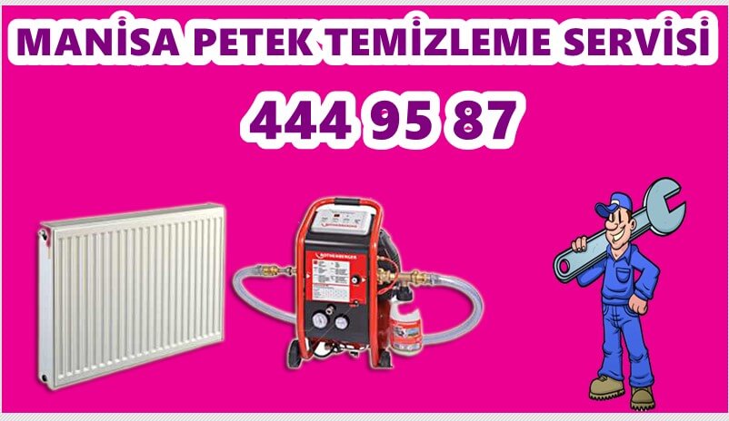 manisa-petek-temizleme-servisi